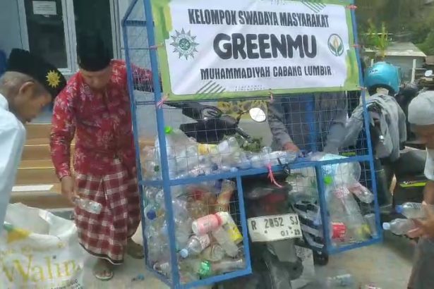 Green Mu Lumbir