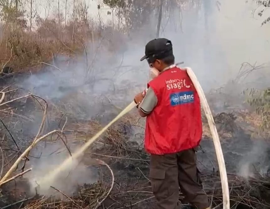 Kebakaran Hutan Kubu Raya